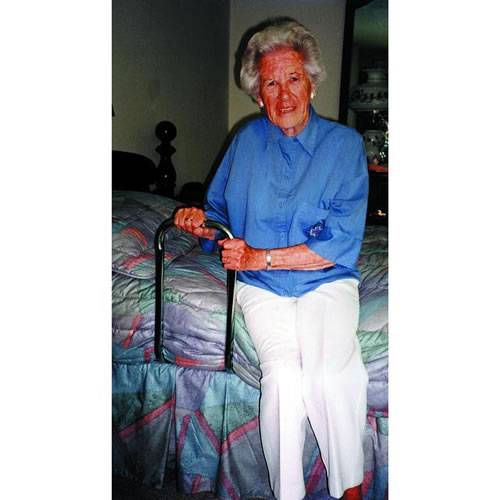 Mobility Transfer Freedom Grip Economy Bed Rail