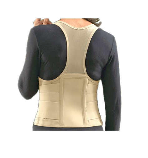 Original Cincher Back Support