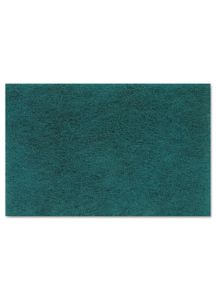 Scouring Pad - PAD 196