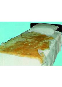 Sofsheep Genuine Sheepskin Pad by Sheepskin Ranch