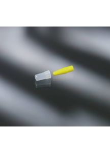 Catheter Plug with Cap