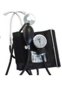 Labtron Blood Pressure Monitor Unit Adult - 240