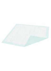 DISPOSEZE Super Absorbent Disposable Underpads